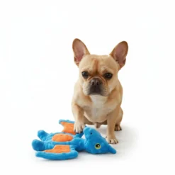 All for paws My T Rex Azul Brinquedo para cães