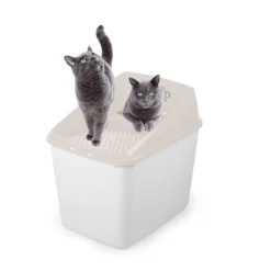 All For Paws No Mess Caixa de Areia Com Tampa para gatos
