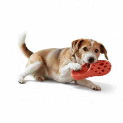 All For Paws Pantufas Air Pups Brinquedo para cães