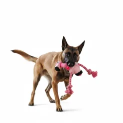 All For Paws Ultrasonic Brinquedo DJ Flamingo para cães