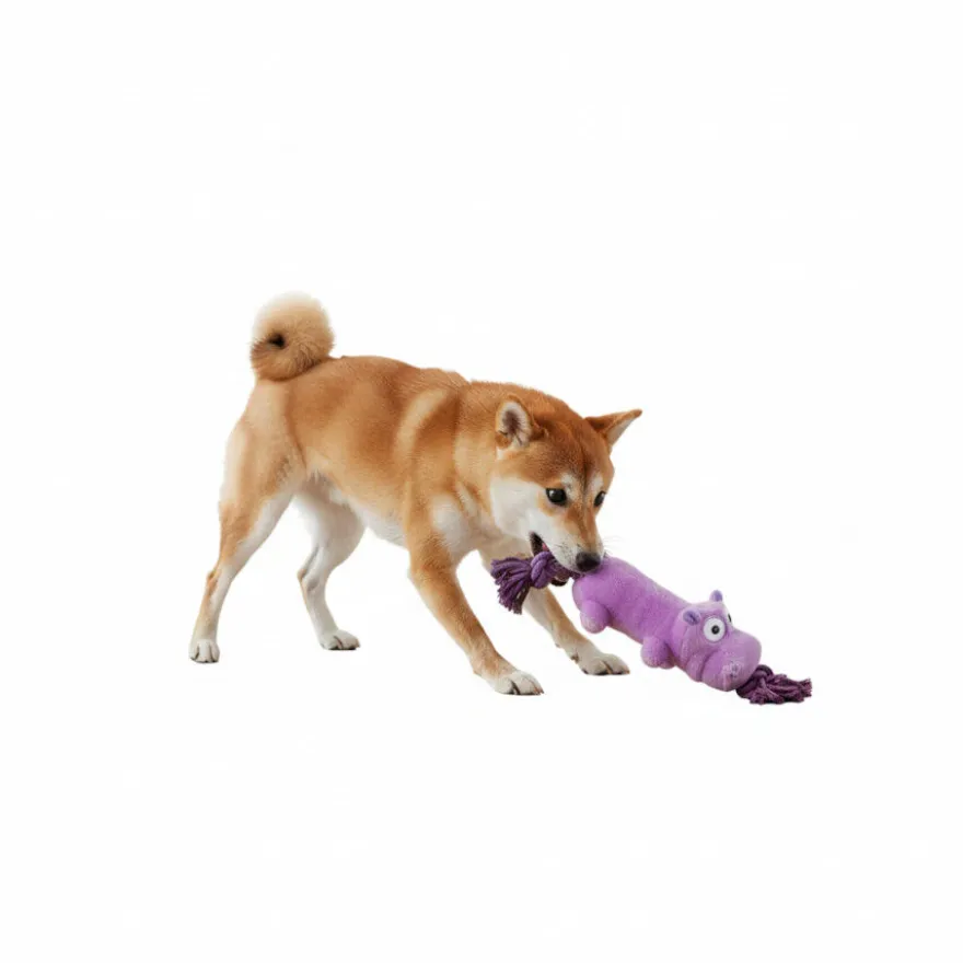 All For Paws Ultrasonic Brinquedo hipopótamo para cães