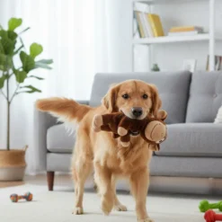 All For Paws Ultrasonic Brinquedo Mono Hypno para cães