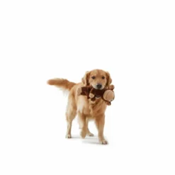 All For Paws Ultrasonic Brinquedo Mono Hypno para cães