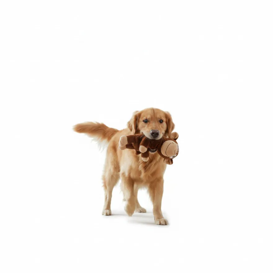 All For Paws Ultrasonic Brinquedo Mono Hypno para cães