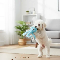 All For Paws Ultrasonic Brinquedo polvo para cães