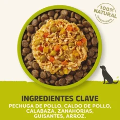 Applaws Taste Toppers Frango com Legumes em Molho lata para cães