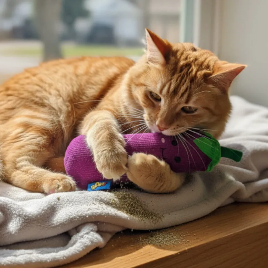 BAM! Peluche Beringela com catnip para gatos