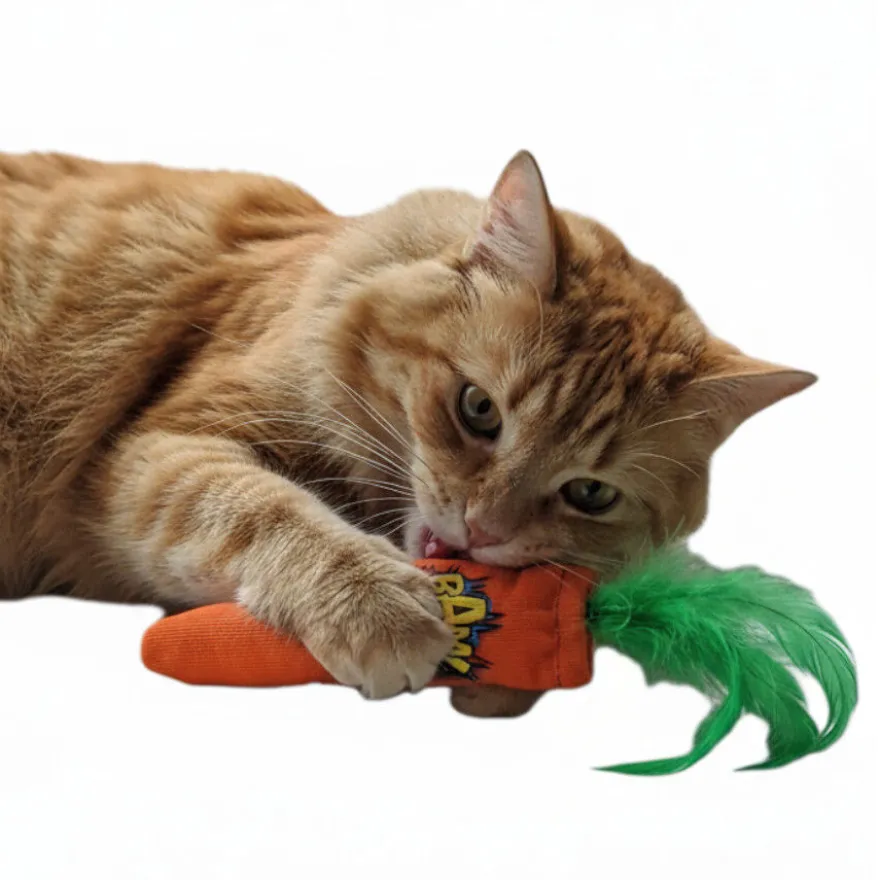 BAM! Peluche Cenoura com catnip para gatos