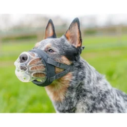 Baskerville Açaime moldável para cão