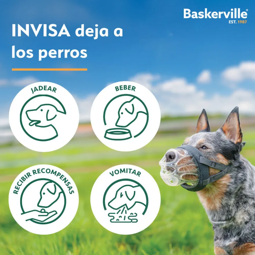 Baskerville Açaime moldável para cão