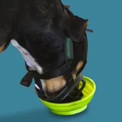 Baskerville Ultra Muzzle Açaime tipo cesto para cães
