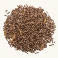 Beaphar Alimento Completo para Ouriços