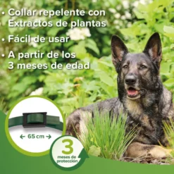 Beaphar Bio Band Coleira repelente para cães