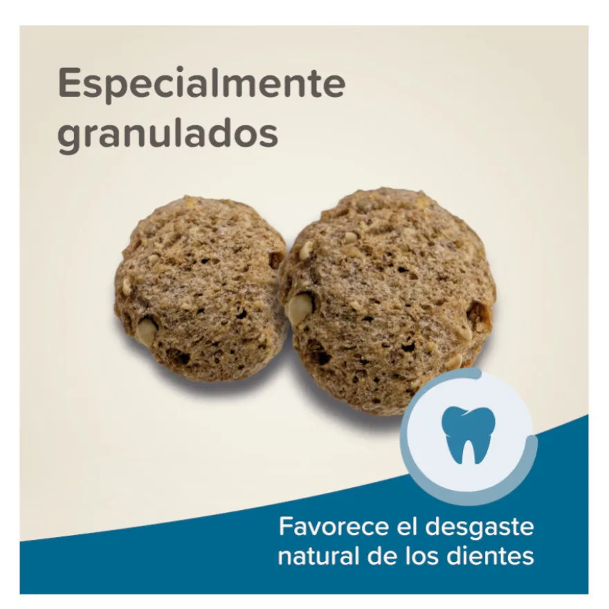 Beaphar Care+ Alimento para ratos e gerbilos