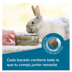 Beaphar Care + ração para coelhos Jr super premium