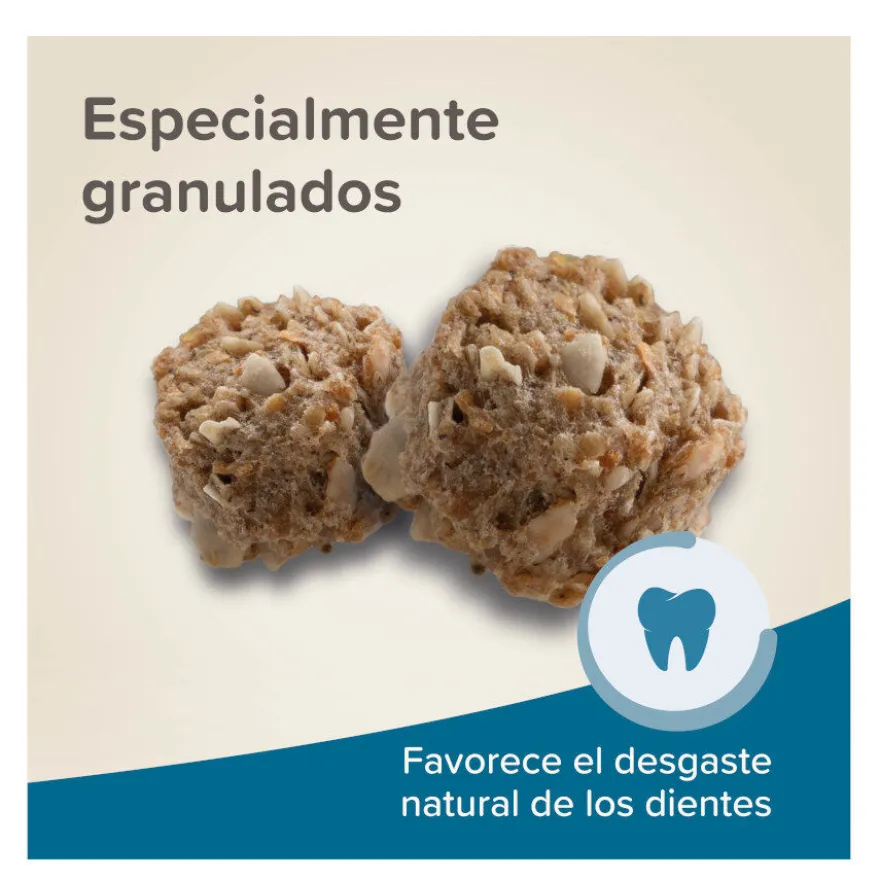 Beaphar Care + ração para coelhos Jr super premium