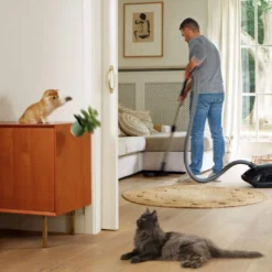 Beaphar CatComfort spray relaxante para stress ocasional em gatos