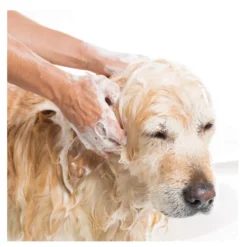 Beaphar Champô Repelente para cães e gatos