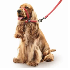 Beaphar Gentle Leader Açaime vermelho para cães