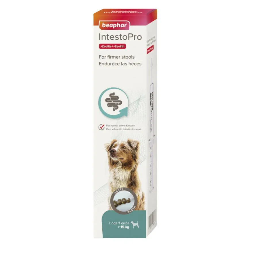 Beaphar IntestoPro pasta para cães