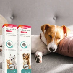 Beaphar IntestoPro pasta para cães