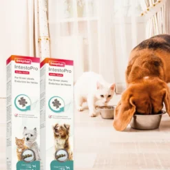 Beaphar IntestoPro Regulador intestinal em pasta para cães e gatos