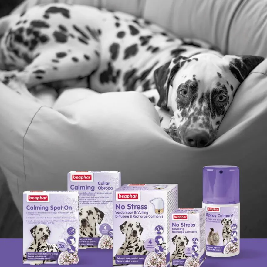 Beaphar No-Stress Difusor e Recarga Anti Stress para cães