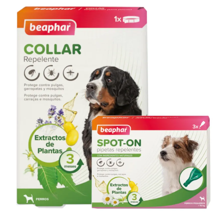 Beaphar Pack com Pipetas e Colar Repelente para Cães.