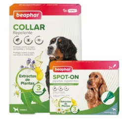 Beaphar Pack com Pipetas e Colar Repelente para Cães.