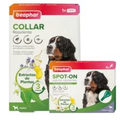 Beaphar Pack com Pipetas e Colar Repelente para Cães.