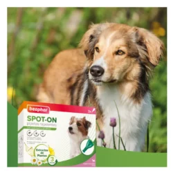 Beaphar Pipetas Repelentes para cães