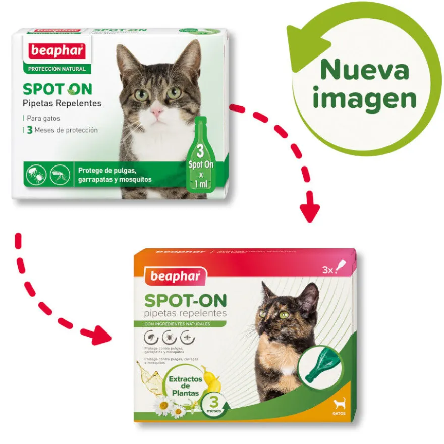 Beaphar Pipetas Repelentes para gatos