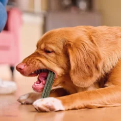Beaphar Sticks Dentários para cães médios e grandes