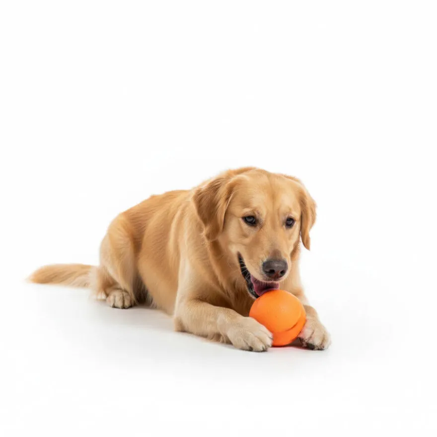 BECO Bola de apanhar laranja para cães