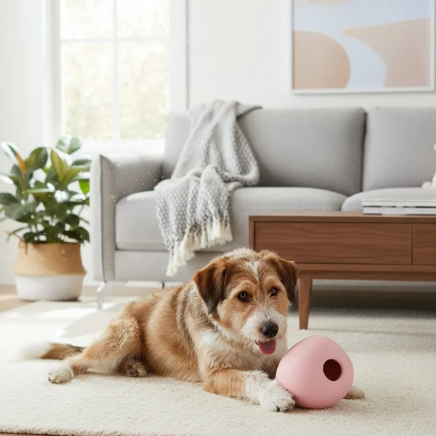 BECO Bola Oscilante rosa para cães