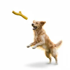 BECO Mordedor pau amarelo para cães