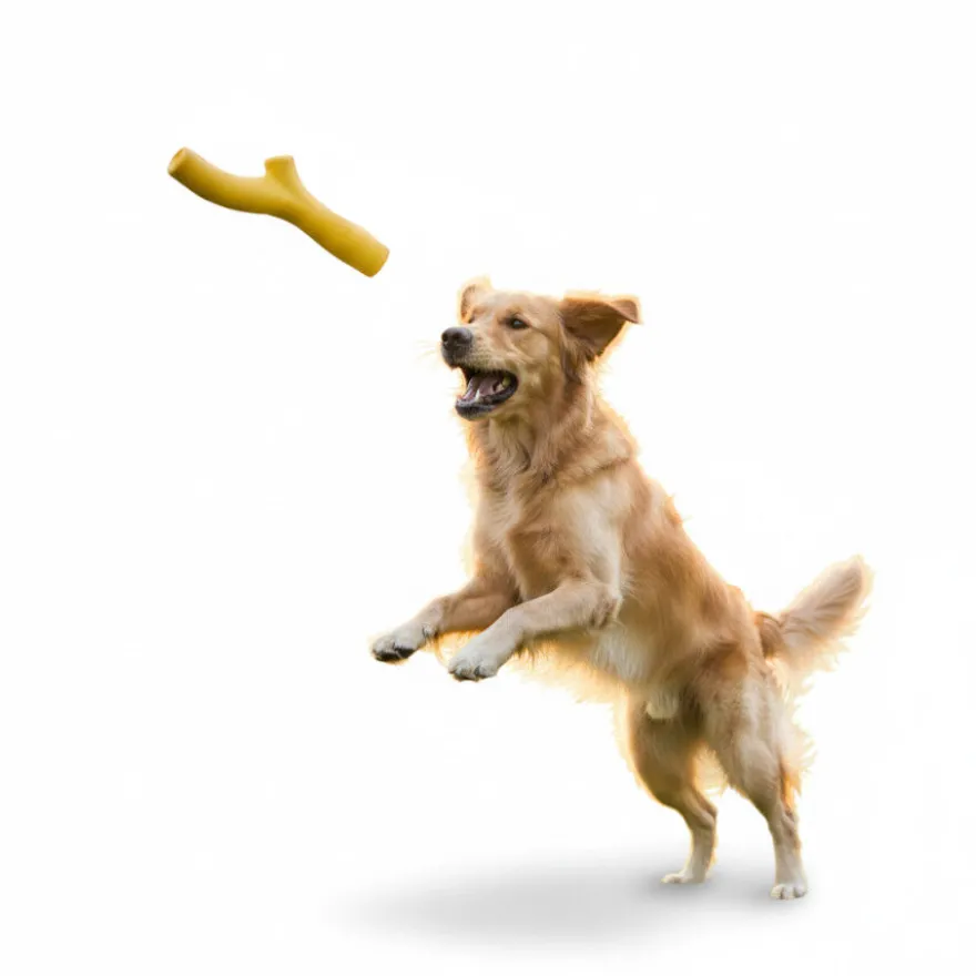 BECO Mordedor pau amarelo para cães