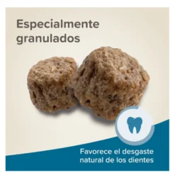 Biophar Care + ração para porquinhos-da-índia