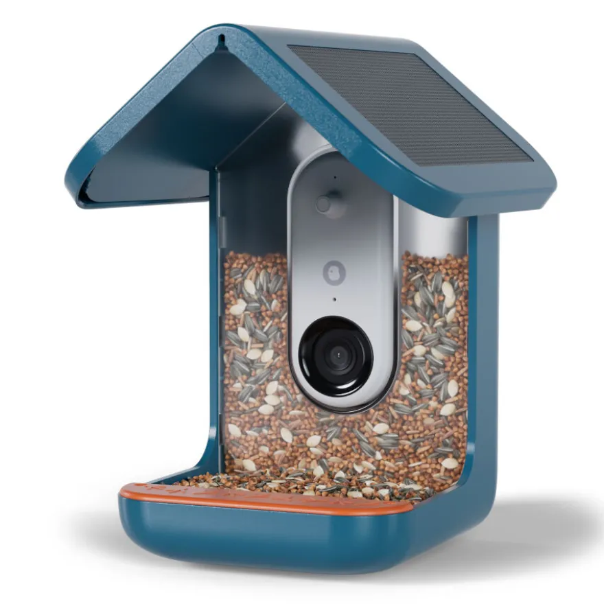 Birdbuddy Comedouro Inteligente com Câmara para Pássaros