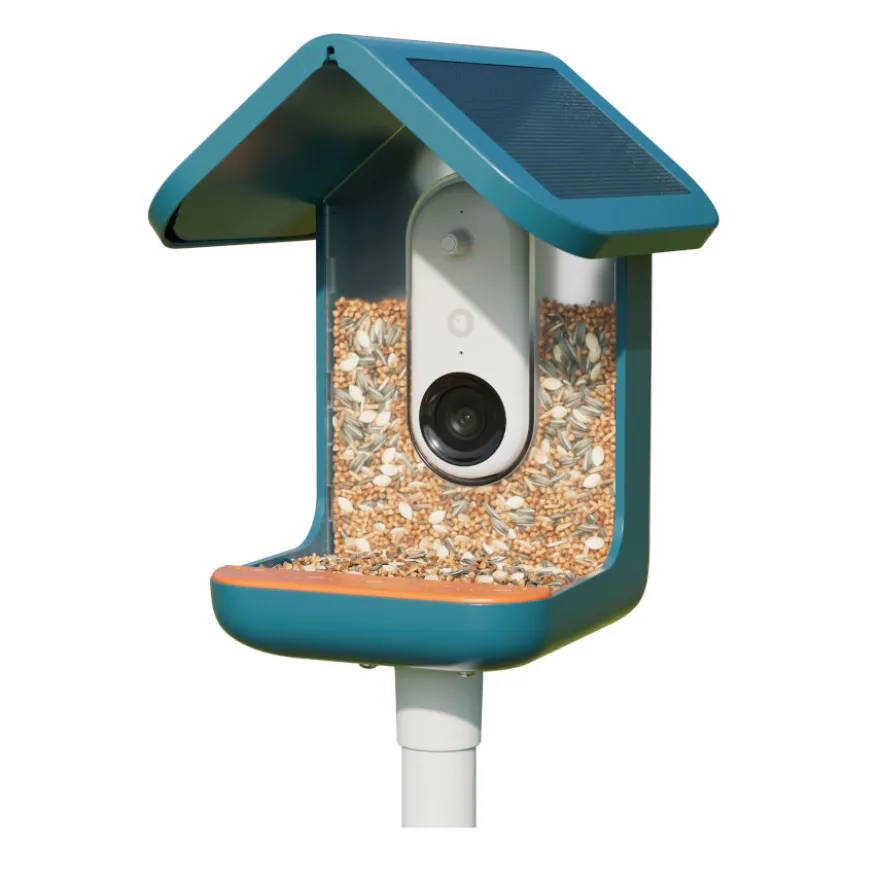 Birdbuddy Comedouro Inteligente com Câmara para Pássaros