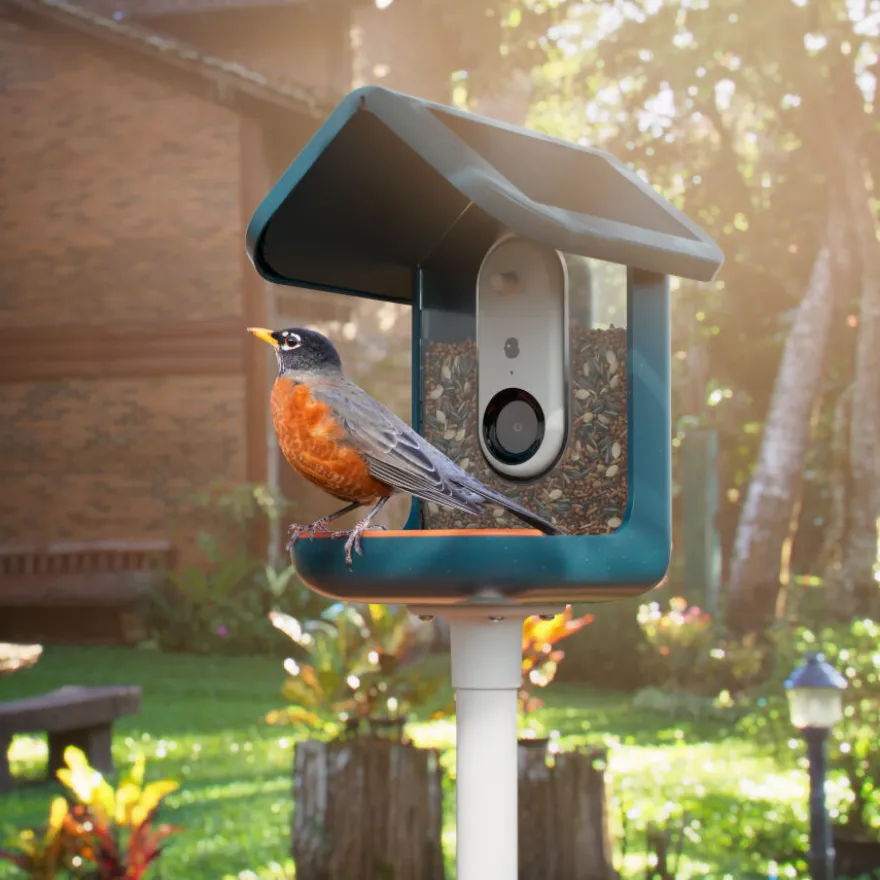 Birdbuddy Comedouro Inteligente com Câmara para Pássaros