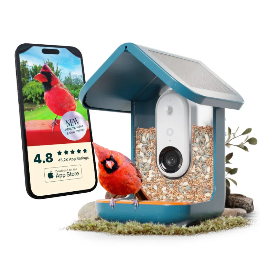 Birdbuddy Comedouro Inteligente com Câmara para Pássaros