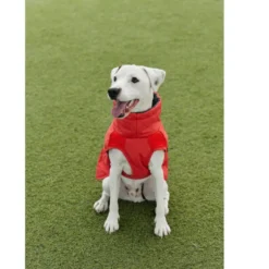 Casaco impermeável vermelho Freedog Oymyakon com arnês para cães