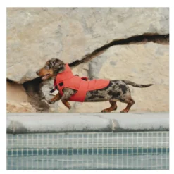 Casaco impermeável vermelho para cachorro Freedog Paw Shield