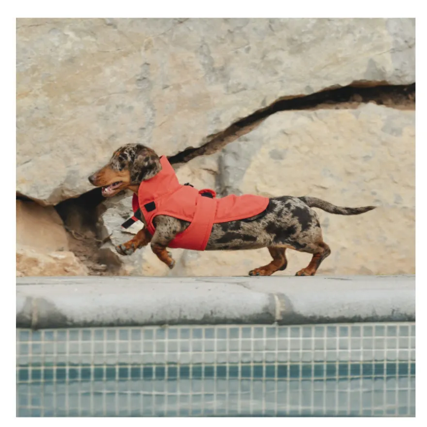 Casaco impermeável vermelho para cachorro Freedog Paw Shield