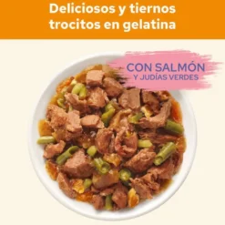 Cat Chow Saqueta de salmão para gatos