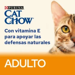 Cat Chow Saquetas Beef para gatos