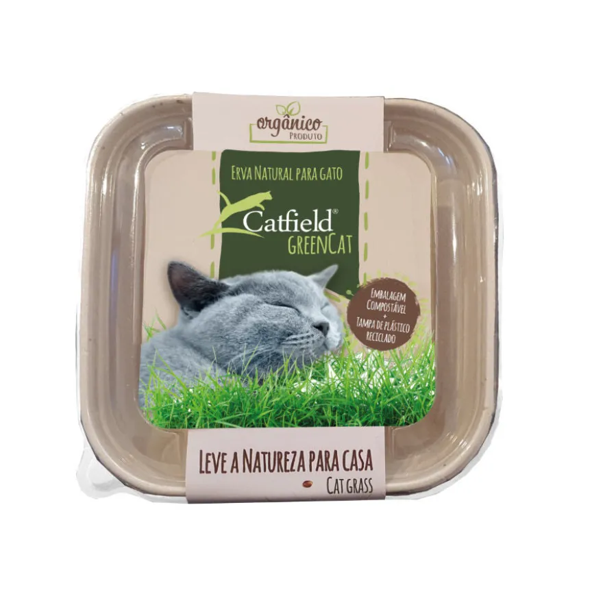Catfield GreenCat Erva Natural para gatos
