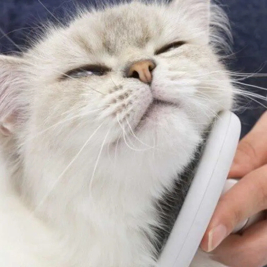 Catit Grooming Kit de cuidado para gatos de pelo longo