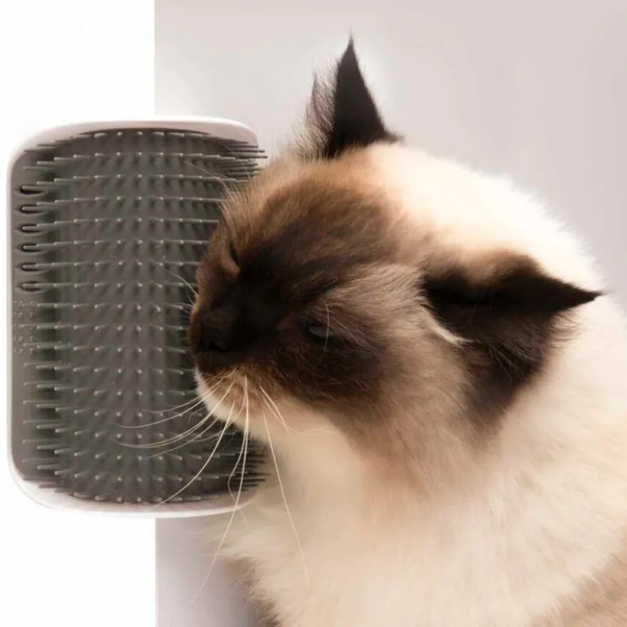 Catit Self Groomer Escova de Parede